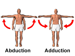 Abduction.Adduction